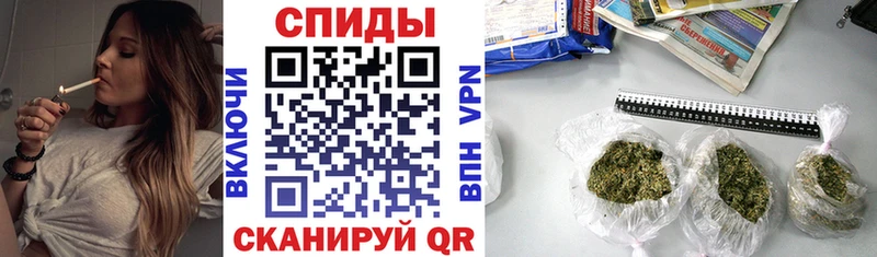Купить закладки  Славгород  Бутират оксибутират 
